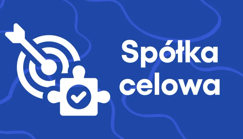 Grafika wyjaśnia, spv co to jest: spółka celowa jako element układanki trafiający w cel.