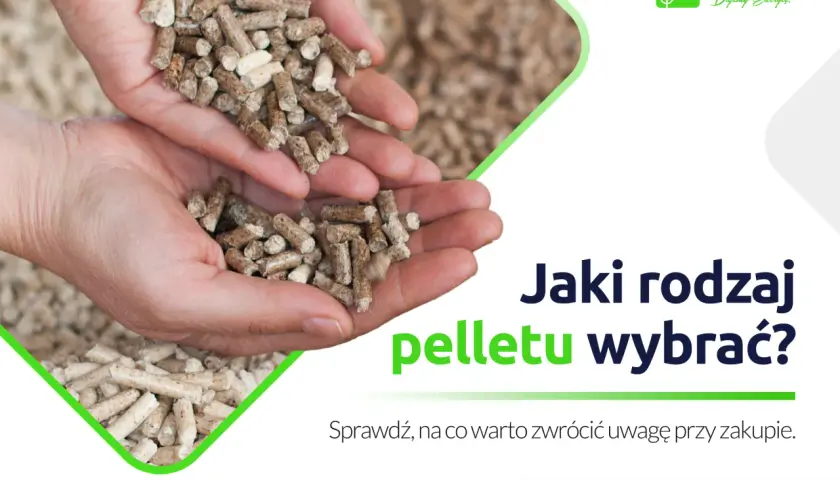 Dłonie trzymają pellet, który ma wysoką pellet wartość opałową. Dowiedz się, jaki rodzaj pelletu wybrać.