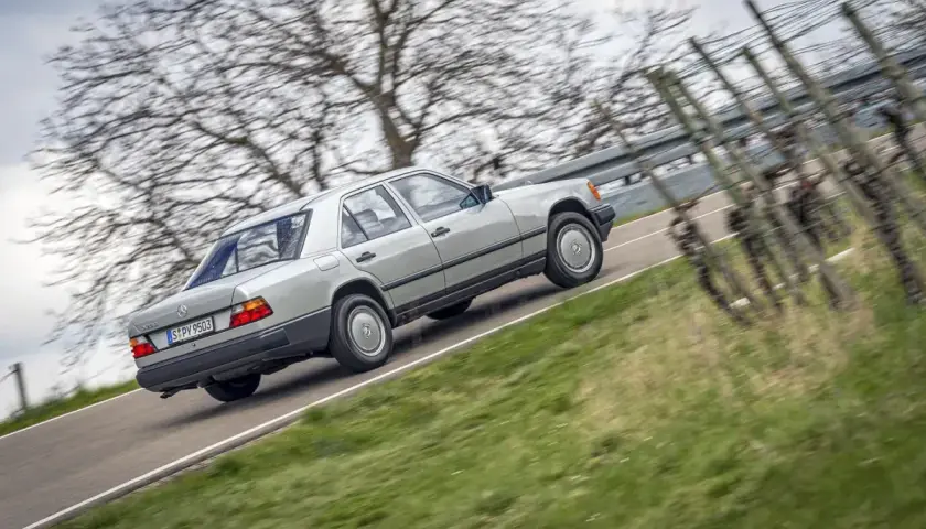 Srebrny w124 mercedes jedzie po krętej drodze wśród drzew i winorośli.