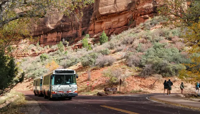 Shuttlebusse fahren durch den Zion Nationalpark, vorbei an roten Felswänden und Herbstlaub.