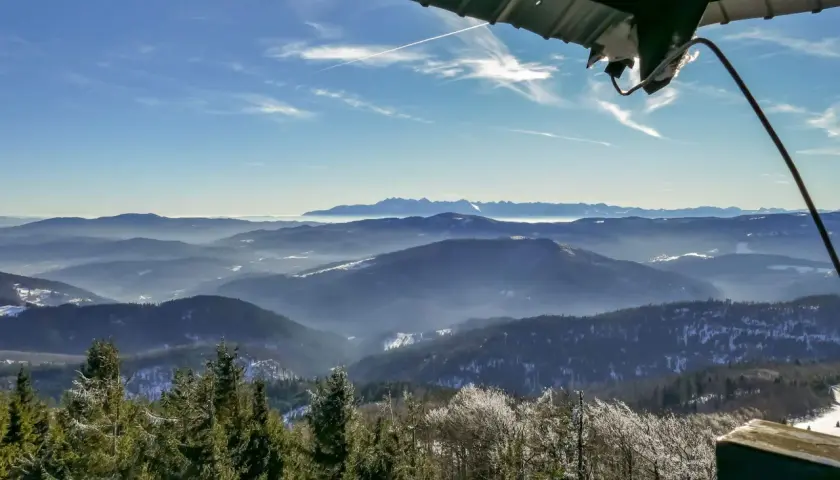 Widok z wieży widokowej na Beskid Wyspowy. W dole lasy i doliny, w oddali pasmo górskie. To najładniejszy szlak na Mogielicę.