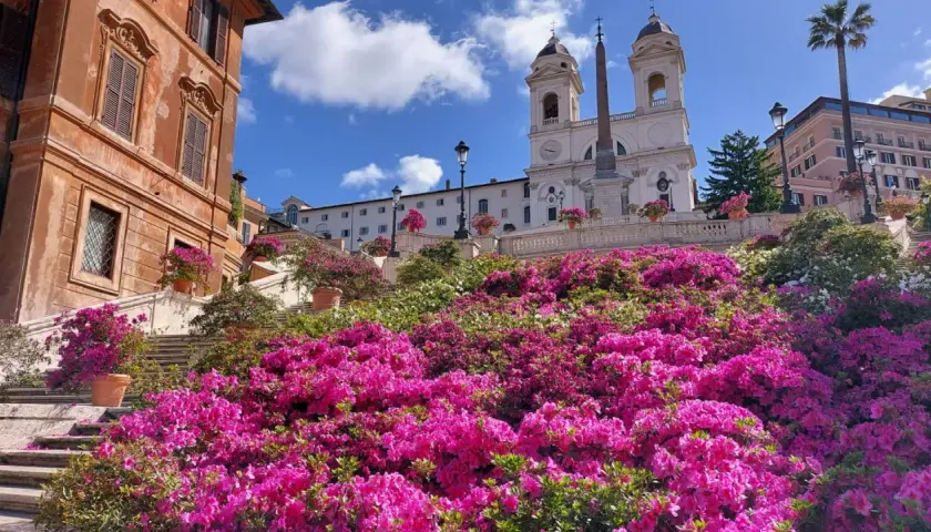 Escalier de la Trinité-des-Monts à la Piazza di Spagna, Rome, fleuri de magnifiques azalées roses et blanches sous un ciel bleu.