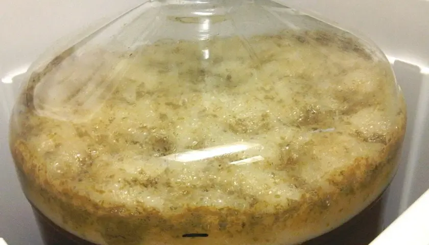 Bière en pleine fermentation active dans une bonbonne. La mousse épaisse et les bulles témoignent de la durée fermentation bière.