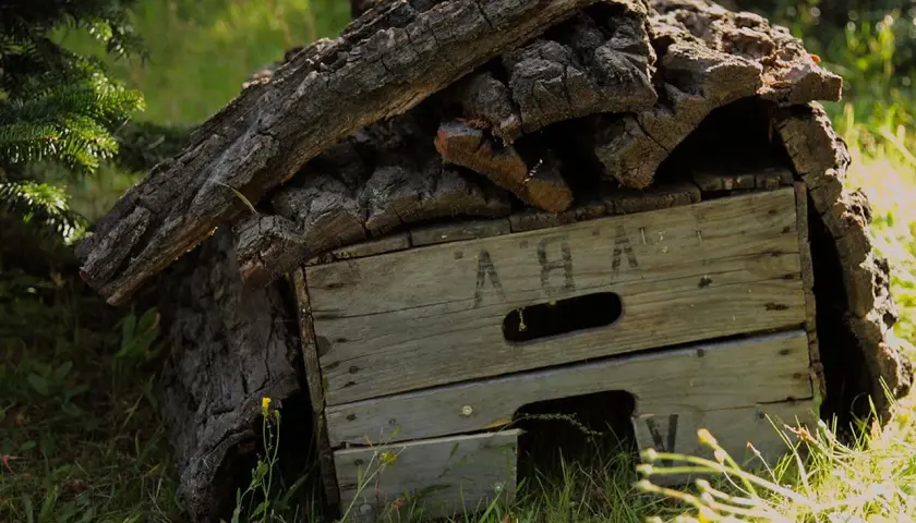 Ein selbstgebautes, katzensicheres Igelhaus aus Holz und Rinde, versteckt im Gras unter einem Baum.