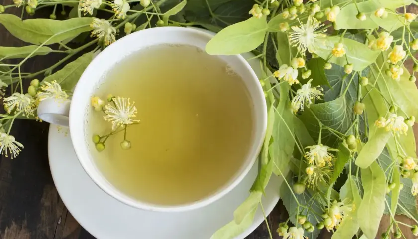 Kubek aromatycznej herbaty z lipy, idealnej na kaszel, otoczony świeżymi kwiatami i liśćmi lipy.