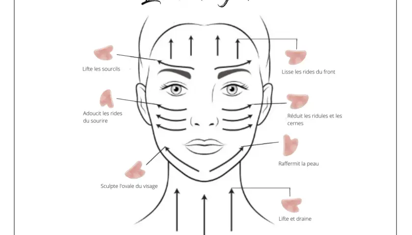 Illustration montrant les bons gestes pour un facial massage avec des outils Gua Sha pour lifter, lisser et raffermir la peau.