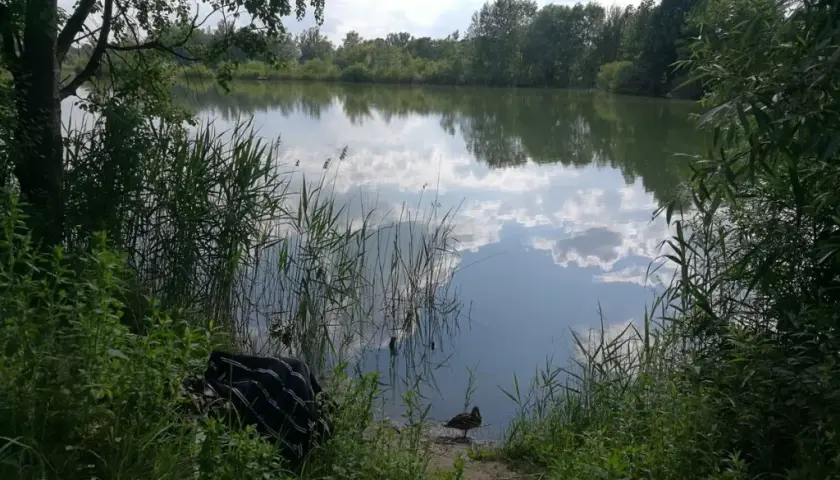 Glinianki Zielonka - Stawy w miejscowości Zielonka
