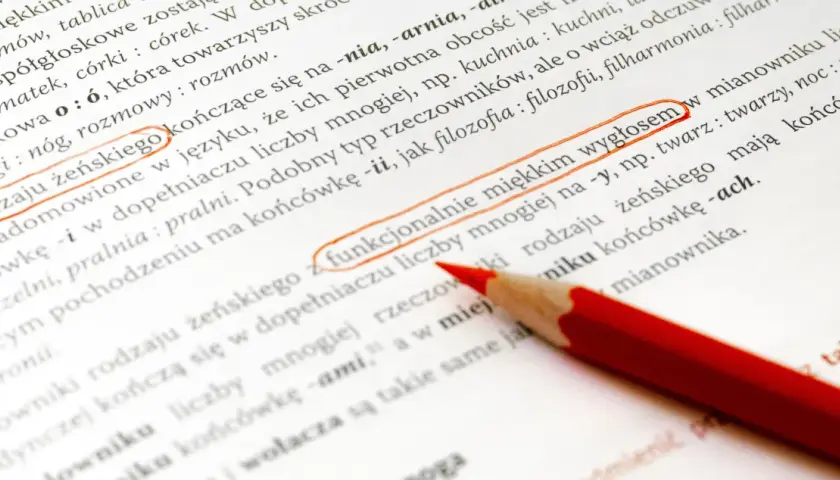 Liczba dwa w języku polskim: zasady gramatyczne i praktyczne przykłady