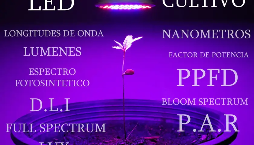 Planta joven bajo un foco led 5w para cultivo, rodeada de términos técnicos como espectro, lúmenes y nanómetros.