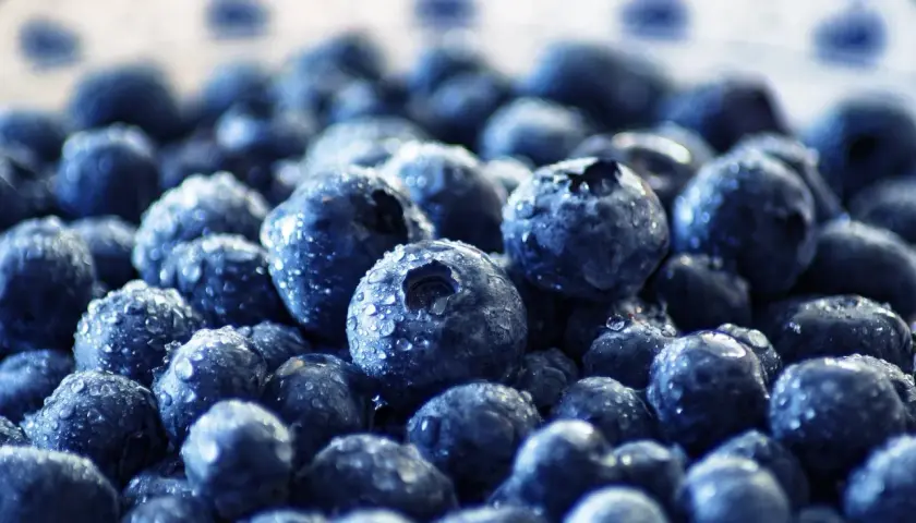 Frische Blaubeeren mit Wassertropfen. Ideal für die Einnahme von Quercetin, wann immer Sie einen gesunden Snack wünschen.