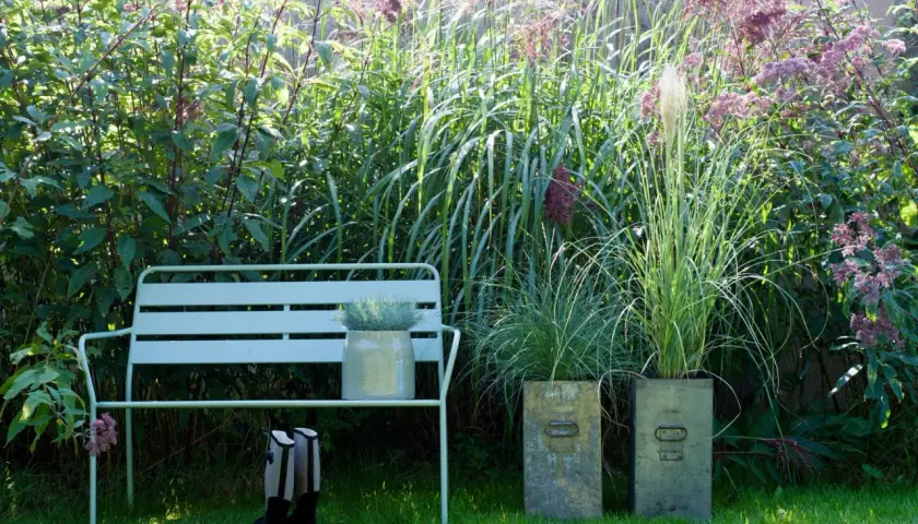 Ein Garten mit hohen Stauden als Sichtschutz. Eine Bank lädt zum Verweilen ein, daneben stehen Stiefel.