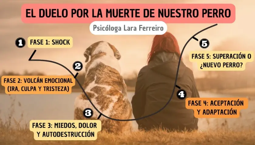 Ilustración sobre cómo superar la muerte de un perro, mostrando las 5 fases del duelo: shock, volcán emocional, miedos, aceptación y superación.