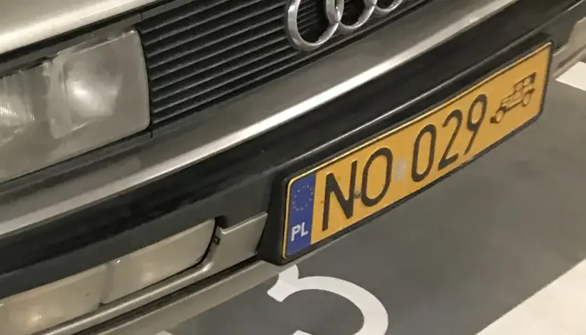 Złota tablica rejestracyjna z napisem NO 029 na zderzaku Audi.