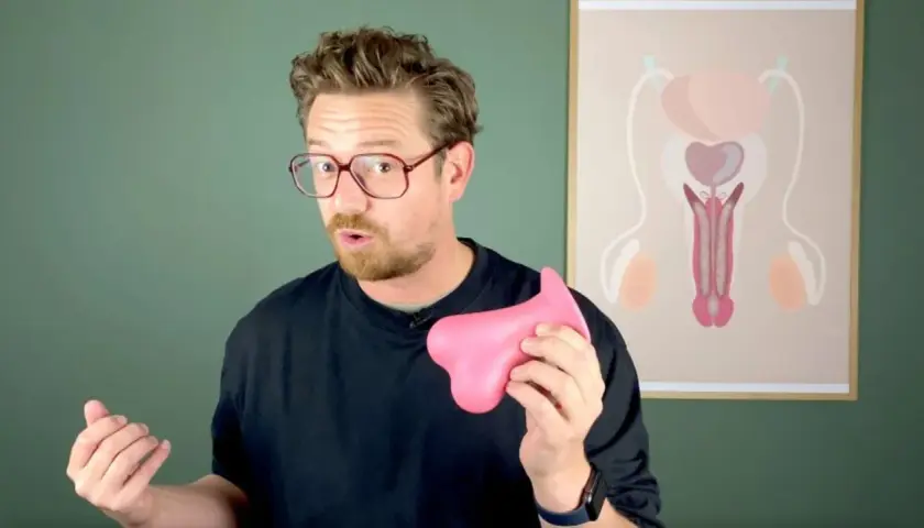 Mann mit Brille hält rosa Objekt. Im Hintergrund eine Grafik des männlichen Genitalbereichs, die Fragen zu Creatin Nebenwirkungen Hoden aufwirft.