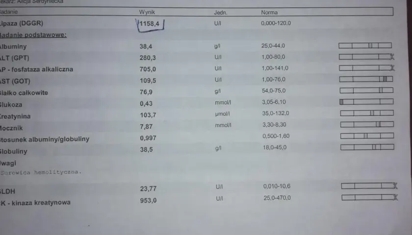 Wynik badania lipazy u psa: 1158,4 U/I, znacznie przekracza normę (0-120 U/I).