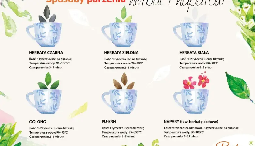 Ilustracja pokazuje, jak parzyć herbatę: czarną, zieloną, białą, oolong, pu-erh i napary ziołowe, podając ilość liści, temperaturę wody i czas parzenia.