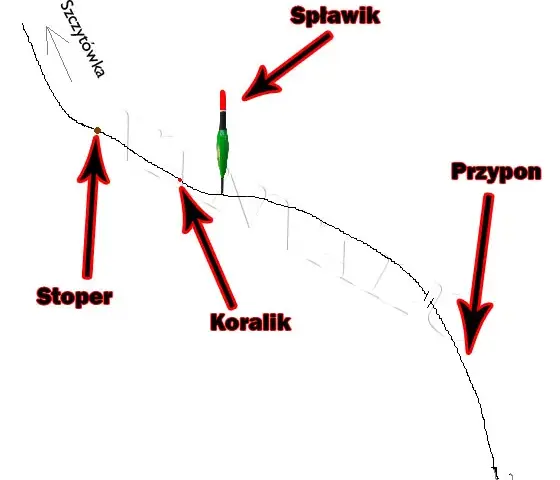 Wędka spławikowa: Jak zmontować zestaw krok po kroku? Poradnik.