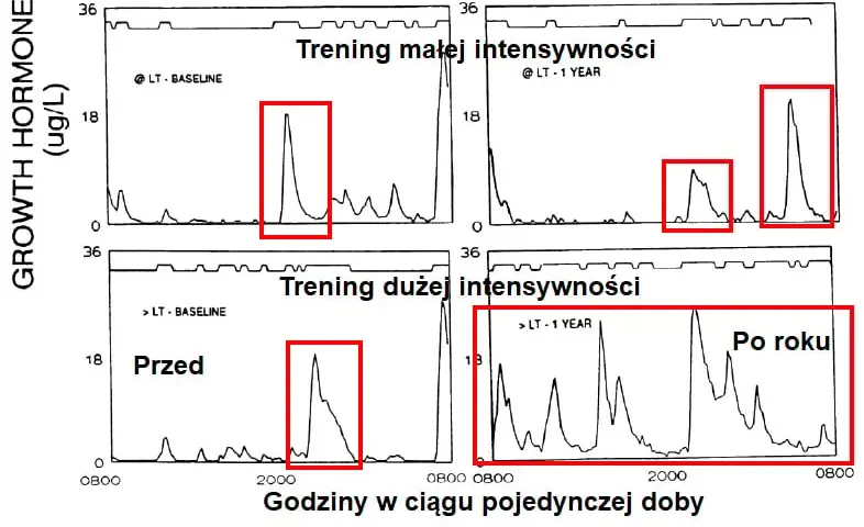 Hormon wzrostu przed czy po treningu - kiedy osiągniesz najlepsze efekty?