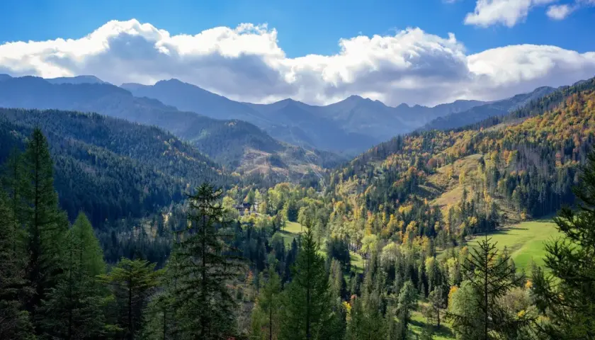 Jesienne kolory Tatr zachęcają do spacerów. Łatwe szlaki Zakopane oferują piękne widoki na góry i lasy.