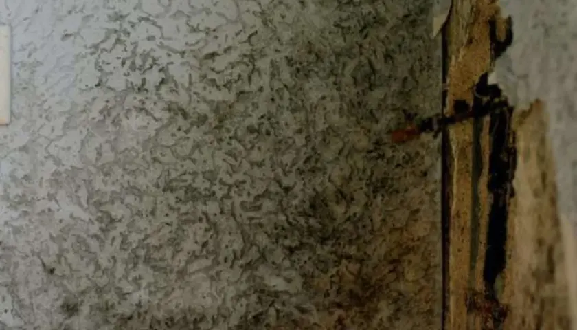 Strukturierte Wand mit dunklen Flecken, die darauf hindeuten, dass man eine feuchte Wand erkennen kann. Beschädigte Tapete an der rechten Seite.