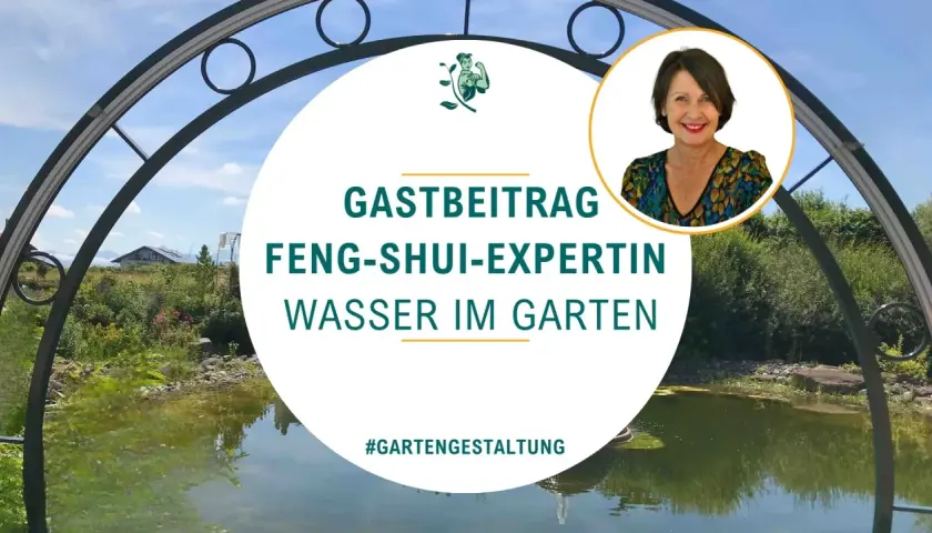 Feng shui wasserfall wo aufhängen? Expertin gibt Tipps für Wasser im Garten. #gartengestaltung