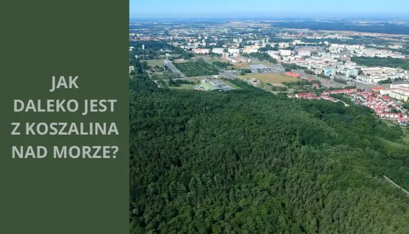 Koszalin ile do morza? Sprawdź najbliższe plaże i dojazd