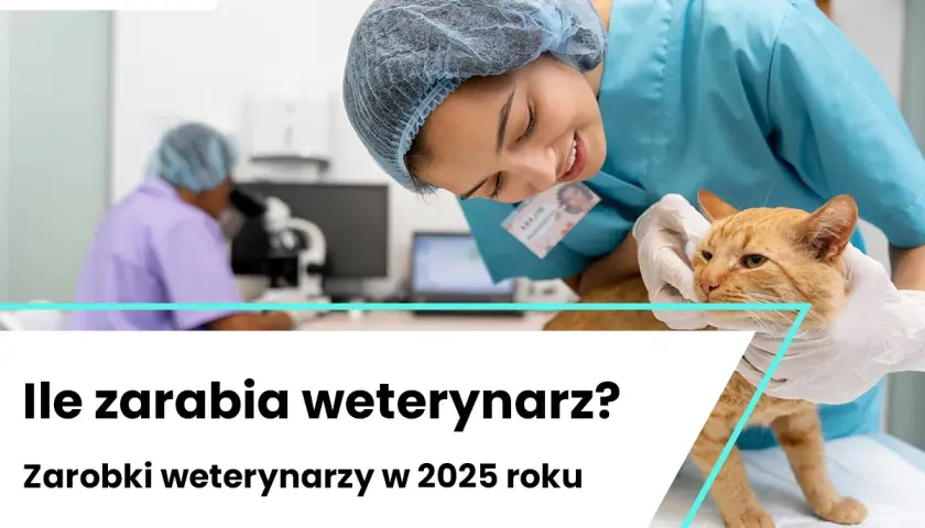 Weterynarz zarobki: 7540 zł brutto? Poznaj realne kwoty!