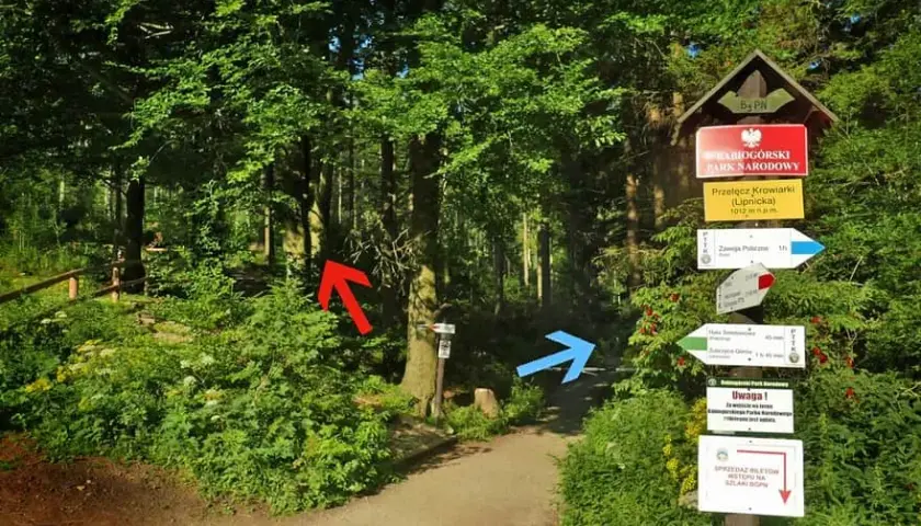 Babia Góra czerwony szlak: Ile km, ile czasu? Uniknij błędów!
