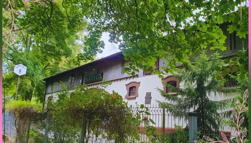 Skansen pszczelarski w Swarzędzu - historia, eksponaty i atrakcje