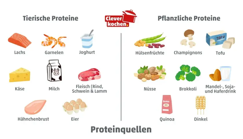 Tierische und pflanzliche Proteinquellen: Lachs, Garnelen, Joghurt, Käse, Milch, Fleisch, Hähnchenbrust, Eier, Hülsenfrüchte, Champignons, Tofu, Nüsse, Brokkoli, Mandel-, Soja- und Haferdrink, Quinoa, Dinkel.
