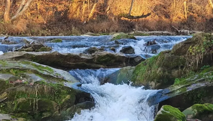 Wodospad na Olszance w Uhercach Mineralnych. Woda spływa po omszałych kamieniach, otoczona jesiennym lasem.