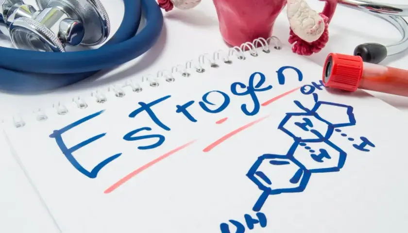 Stetoskop, model narządów rodnych i wzór chemiczny estrogenu na notatniku. Jak podwyższyć estrogen?