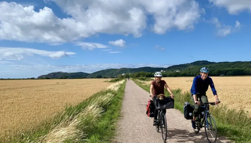 Couple enjoying Sweden bike tours through golden fields, with a dog in a basket.