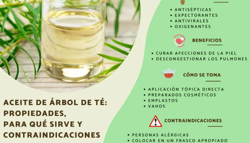 Aceite de árbol de té: usos, propiedades y beneficios. Antiséptico, antiviral y para afecciones de la piel.