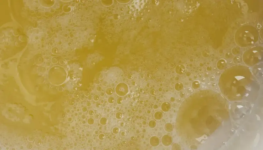 Gdzie kupić białko do drinków? Najlepsze opcje i porady