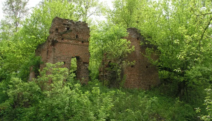 Zarośnięte zielenią ruiny dworku Stroińskich, z ceglanymi ścianami i pustymi otworami okiennymi, otoczone bujną roślinnością.