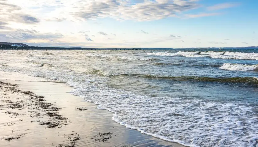 Plaża z falami i wodorostami na piasku. W oddali widać molo i linię brzegową. Idealny widok, kiedy zaczyna się sezon nad morzem.
