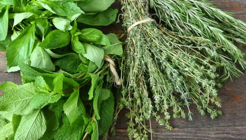 Un bouquet de basilic frais, de menthe et de thym, avec du romarin en arrière-plan. Chaque feuille aromatisée promet des saveurs intenses pour vos plats.