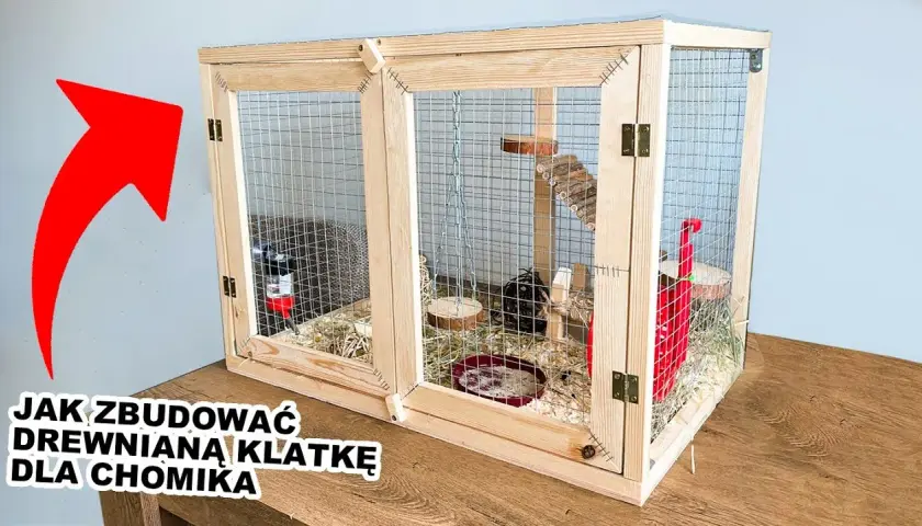 Plac zabaw dla chomika DIY: Bezpieczne pomysły i instrukcje krok po kroku
