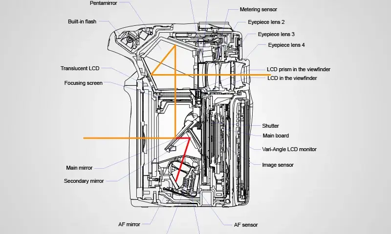 Jak działa lustrzanka dwuobiektywowa? Budowa i mechanizm TLR
