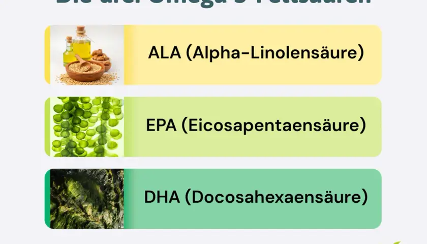 Die drei Omega-3-Fettsäuren: ALA (Leinsamenöl), EPA (Algen) und DHA (Algen). Wie viel Omega 3 am Tag?