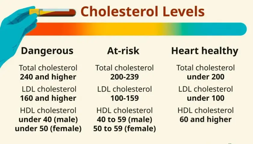 Poziomy cholesterolu: niebezpieczny (240+), zagrożony (200-239), zdrowy dla serca (<200). Unikaj wysokiego cholesterolu.