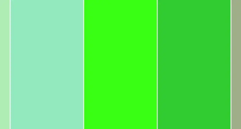 Cinque bande verticali di colori: verde chiaro, menta, verde lime brillante, verde erba e beige. Il verde e giallo che colore esce è vibrante.
