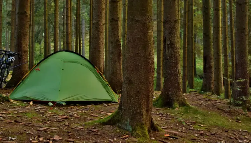 Ziel: gdzie pod namiot nad jezioro. Zielony namiot i dwa rowery czekają na nocleg w lesie, blisko wody.