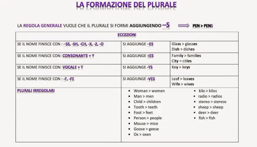Tabella sulla formazione del plurale in inglese: regole generali, eccezioni e plurali irregolari. Esempi: pen > pens, leaf > leaves.