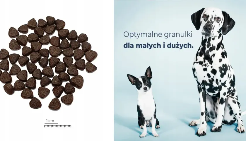 Granulki karmy z jelenia dla psa, idealne dla małych i dużych pupili.