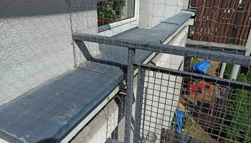 Siatka zabezpieczająca na balkonie. Dowiedz się, ile kosztuje montaż siatki na balkonie, by zapewnić bezpieczeństwo pupilom.