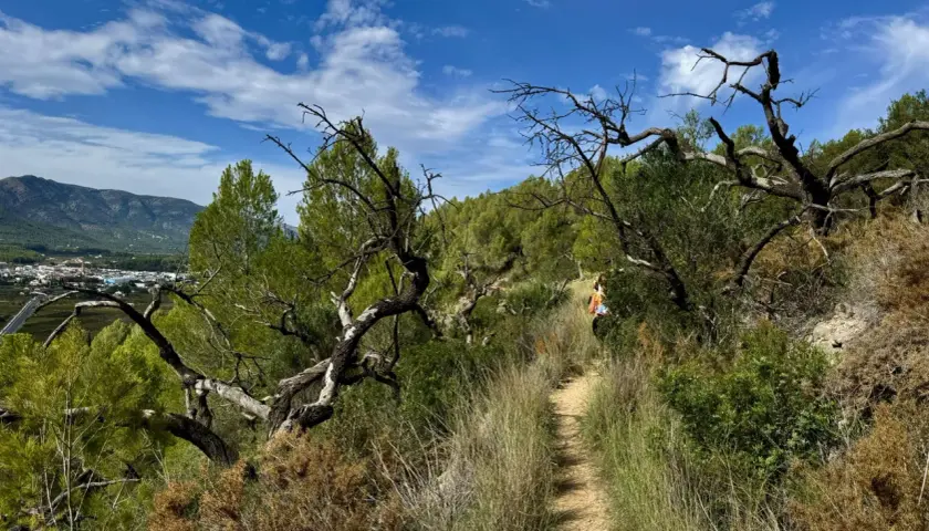 Sendero en el coll de rates, con vegetación seca y árboles retorcidos. Al fondo, un pueblo y montañas bajo un cielo azul con nubes.