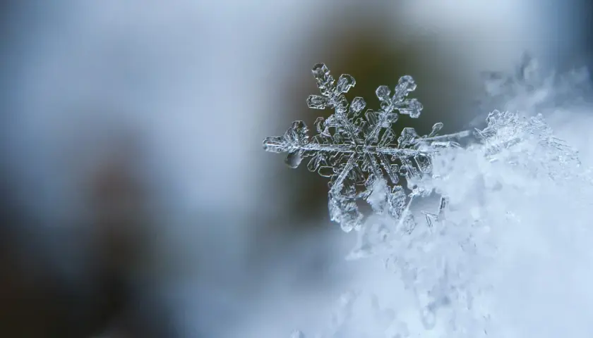 Un fiocco di neve, un capolavoro di cristallo, posa su un letto di neve soffice. Le sue delicate ramificazioni raccontano storie di freddo e magia, parole invernali che danzano nel silenzio.