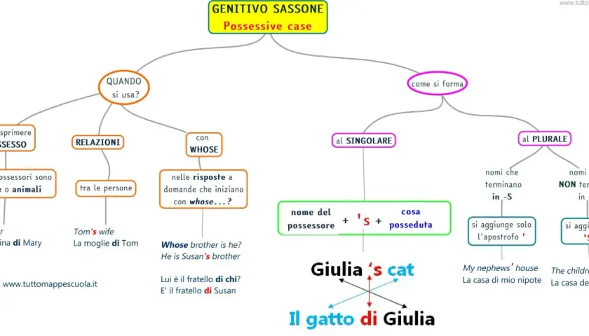 Schema sul genitivo sassone in inglese: quando si usa, come si forma (singolare e plurale), e con "whose". Esempi: Giulia's cat, My nephews' house.